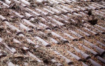 Walker roof cleaning companies