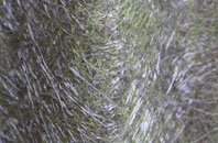 Walker fibreglass roof work